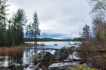 Outlet of a lake with stones and a fallen tree in foreground.