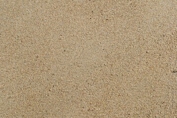texture of sand