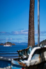 Fototapeta premium abandoned boat on the beach
