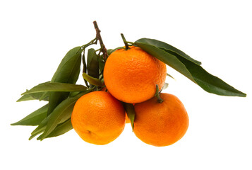tangerines with leaves isolated