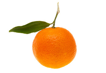 tangerines with leaves isolated