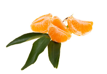 tangerines with leaves isolated