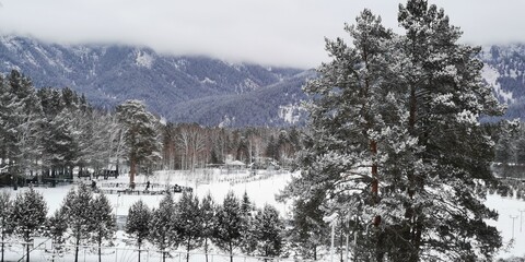 fog in the mountains in winter