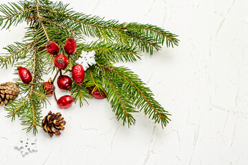 Christmas tree branches with pine cones and rosehip berries on white putty background