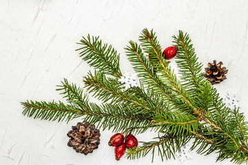 Christmas tree branches with pine cones and rosehip berries on white putty background