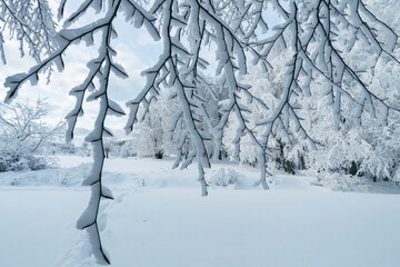 Winter. Everywhere cold places are covered with snow and slippery. Uludag National Park. Bursa, Turkey.