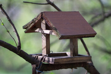 Bird feeder in the form of a house with a wooden roof hanging on a tree. Caring for birds