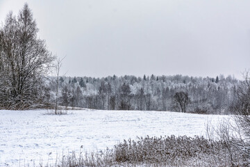 Winter landscape in the countryside with trees and houses.