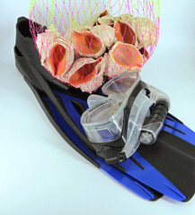 diving equipment and shellfish in a net