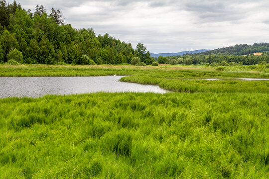 Bavarian Forest scenery