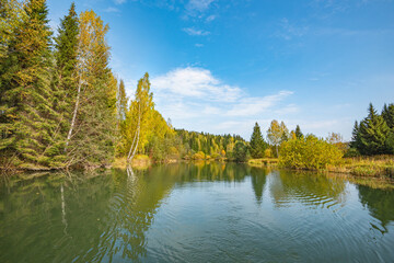 Autumn forest trees are reflected in the river water of the panoramic landscape. Blue sky with clouds.