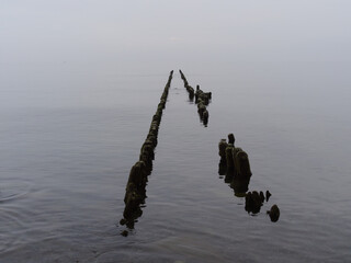 breakwater receding into the distance on the shore of the Baltic Sea. Svetlogorsk Kaliningrad region Russia