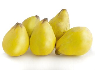 yellow,sour and hard fruits of quinces close up