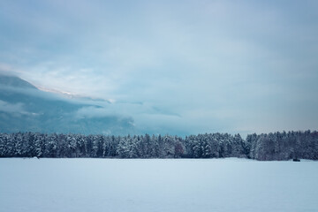 Schnee Landschaft mit Bäumen