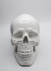 Obraz premium human skull isolated