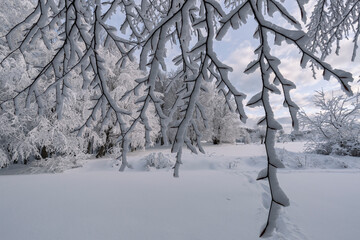 Winter. Everywhere cold places are covered with snow and slippery. Uludag National Park. Bursa, Turkey