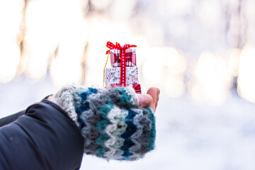 Person holding christmas tree