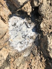 salt on Nissi beach. Cyprus. vacation, summer