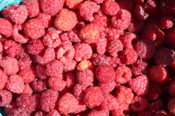 background of raspberries