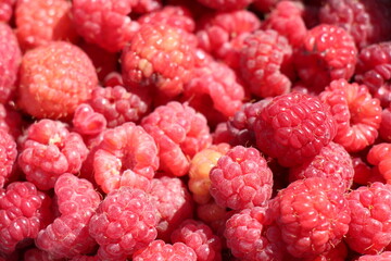 close up of ripe raspberries