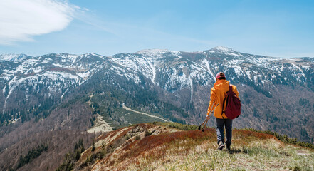 Fototapeta na wymiar Dressed bright orange jacket backpacker walking by blueberry field using trekking poles with mountain range background, Slovakia. Active people and European mountain hiking tourism concept image.