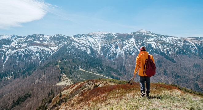 Dressed bright orange jacket backpacker walking by blueberry field using trekking poles with mountain range background, Slovakia. Active people and European mountain hiking tourism concept image.