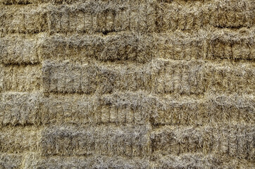 Straw bales field
