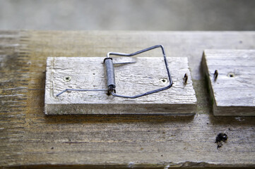 Wooden mousetrap