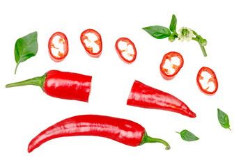 Pepper bitter isolated on white background, top view