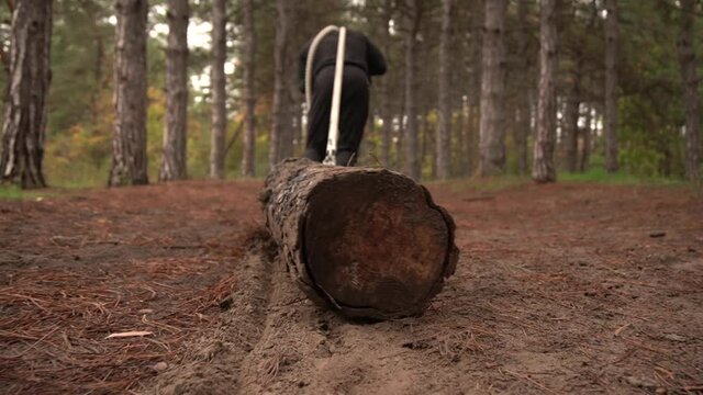 Crossfitter trains outdoors, in the forest. Shakes muscles. Pulls a large, heavy log along the ground with a rope behind his back. Trees, grove, autumn, cold, cloudy. Wood in the foreground.