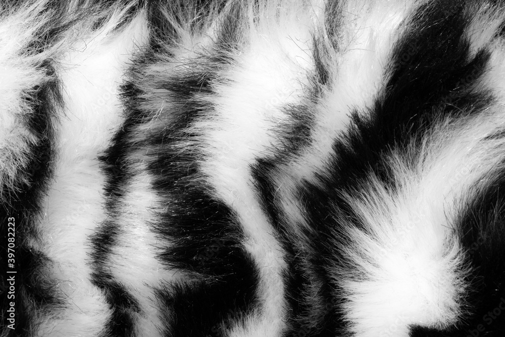 Poster fur with black white stripes. background for design