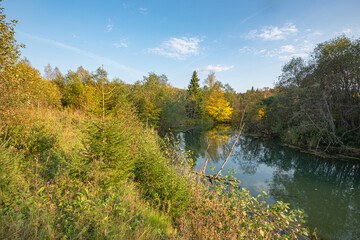 Autumn forest trees are reflected in the river water of the panoramic landscape. Blue sky with clouds.