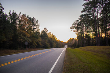 A long road in the country during the Fall