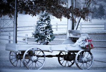 Fototapeta na wymiar snow covered wagon