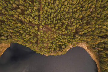 drone shot aerial look view from above of a lake unique shape Latvia Salainis in the forest woods trees 