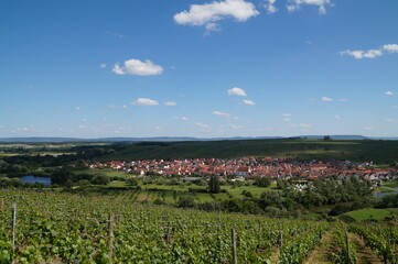 beautiful view of the vineyards in Franconia on a Sunny summer day