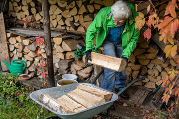 Senior man collecting the heavy pieces of firewood and putting it on the wheelbarrow.