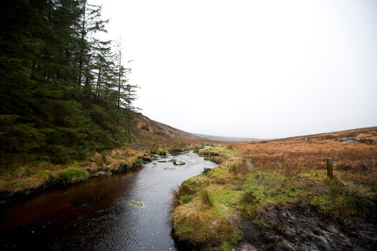 Stream Running Through Wicklow National Park