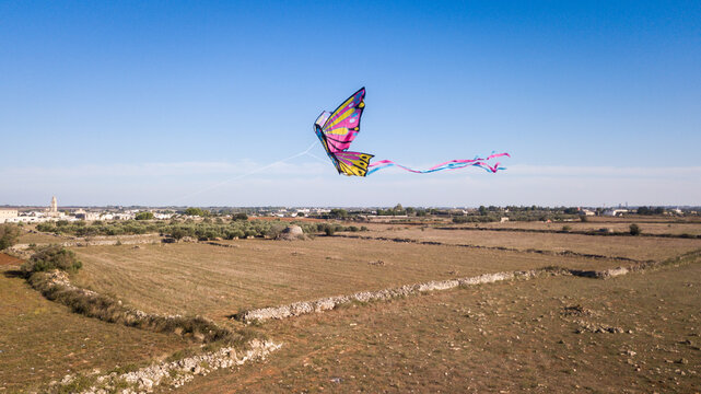 kite