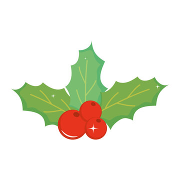 merry christmas berries with leaves vector design