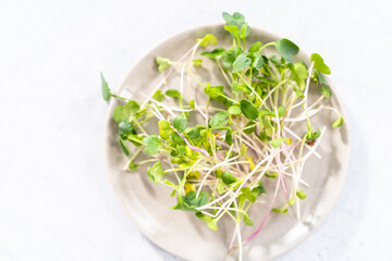 Microgreens