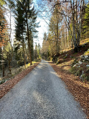 Fototapeta premium Sentieri infiniti