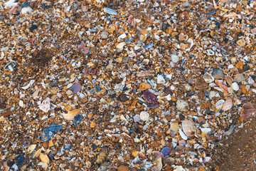 small pebbles , crushed sea shells and rocks in the beach in sunny day multi colorful
