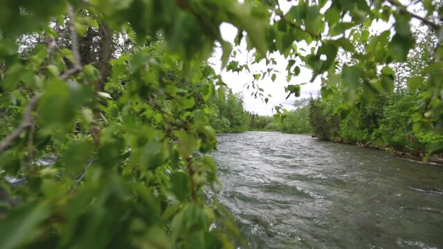 Steady cam, flowing down river in remote Alaska