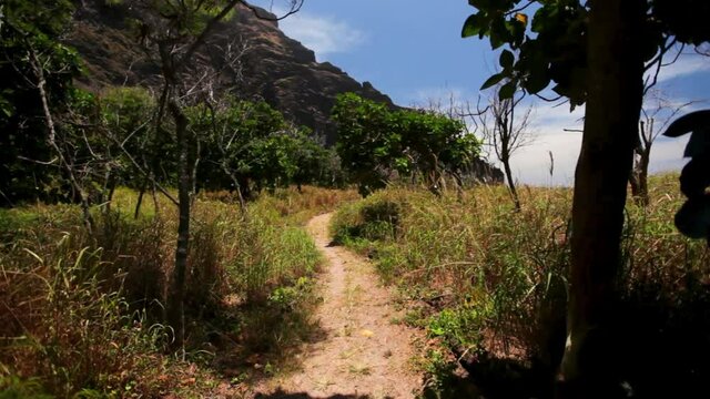 Steady cam, hiking trail on Kauai