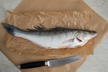 River fish pike perch, whole, cleaned from scales. On baking paper.