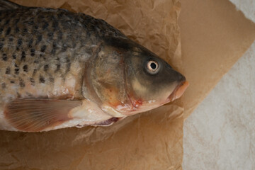 River fish carp, whole, peeled from scales. On baking paper.
