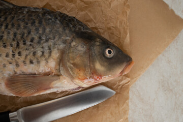River fish carp, whole, peeled from scales. On baking paper.