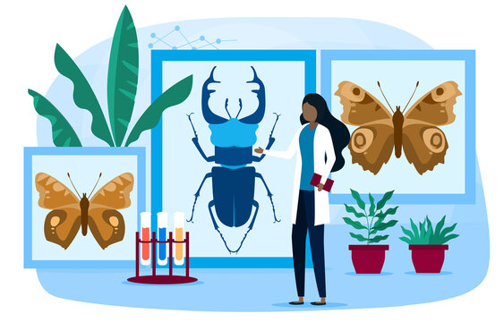 Biology and entomology abstract concept. Botany, zoology, entomology. Woman scientist exploring nature. Idea of education and experiment. Cartoon flat vector illustration isolated on white background