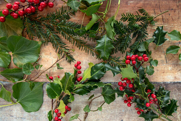 Holly, Ivy and Pine arranged on a rustic wooden table, winter green plants for Christmas wreaths and arrangements